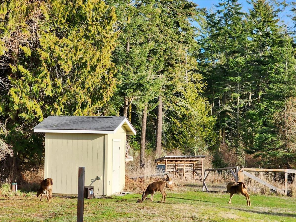 Sq Olympic-View-Cottage Sequim Exterior photo